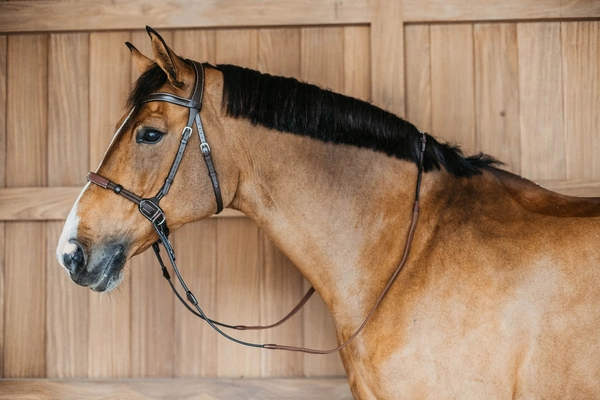 Ogłowie Dy'on bezwędzidłowe Working4.webp