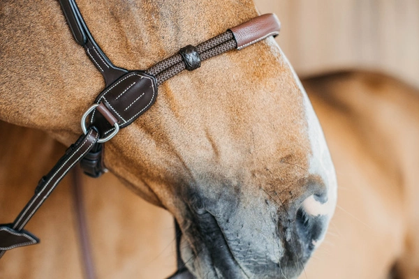 Ogłowie Dy'on bezwędzidłowe Working3.webp