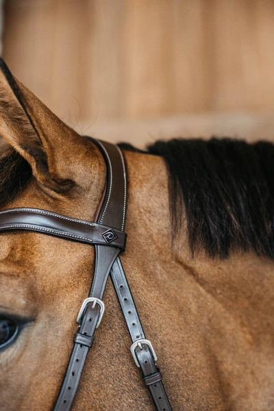 Ogłowie Dy'on bezwędzidłowe Working2.webp