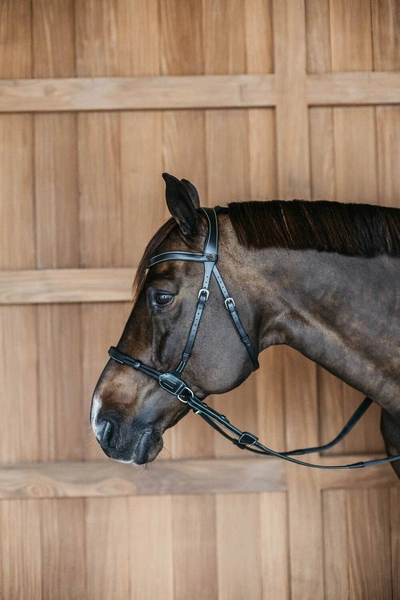 Ogłowie Dy'on bezwędzidłowe Working czarne2.webp