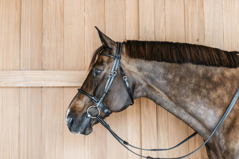 Ogłowie Dy'on z rurkowym nachrapnikiem angielskim Working.webp