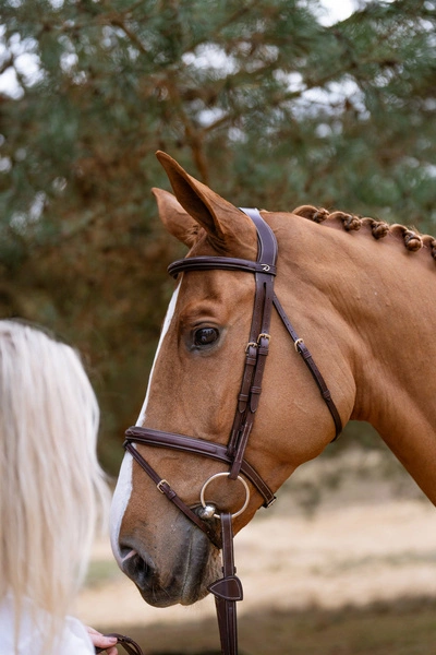 Dy’on Flash Noseband Bridle US – ogłowie flash1.webp