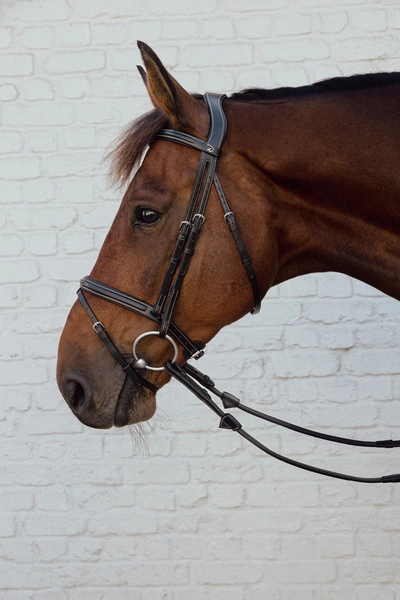 Dy’on Flash Noseband Bridle US – ogłowie flash6.webp