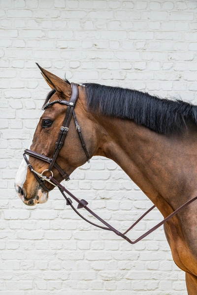 ergonomiczny, dopasowanie, luksusowy, elegancki, trwałość, kontrola, relaks, klasyczny, wytrzymały, komfort1.webp