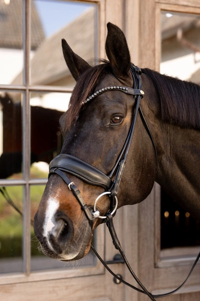 ergonomiczny nagłówek, szeroki nachrapnik, miękka skóra, komfort i stabilność konia1.webp