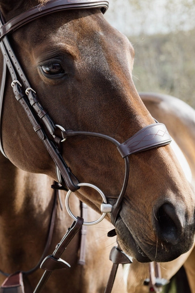hybrydowy nachrapnik, ergonomiczny nagłówek, miękka skóra, komfort i stabilność konia1.webp