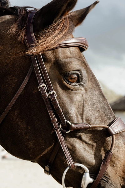 elastyczny hybrydowy nachrapnik, ergonomiczny nagłówek, komfort i stabilność konia6.webp