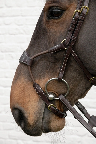 elastyczny hybrydowy nachrapnik, ergonomiczny nagłówek, komfort i stabilność konia78.webp