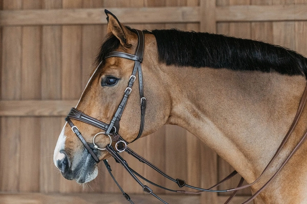 ergonomiczny nagłówek, szeroki nachrapnik, komfort i stabilność konia.webp