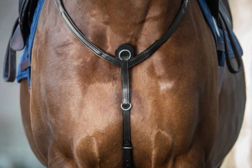 Skórzano-elastyczny napierśnik Dy'on Breastplate New English