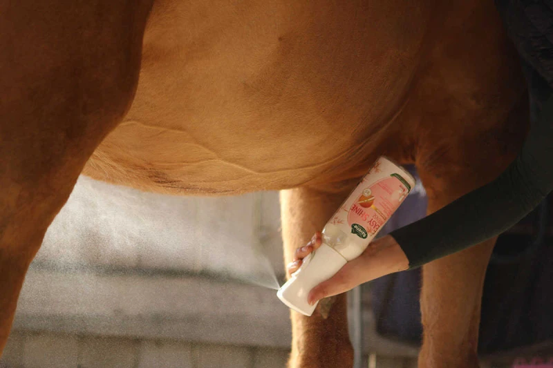 nabłyszczacz do sierści konia