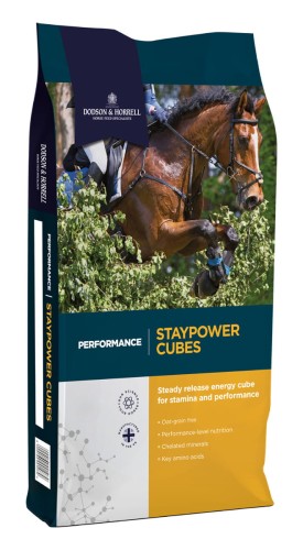 Dodson & Horrell Staypower Cubes 20kg-krótka data
