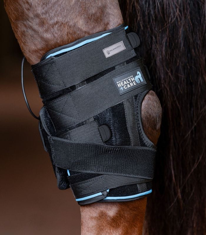 386701_11_800x800.jpg