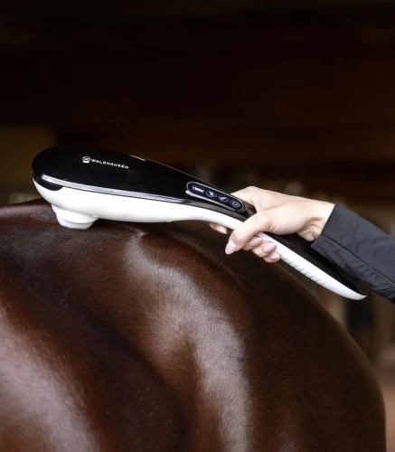 Masażer Waldhausen Health + Care GO-Anywhere 24 h