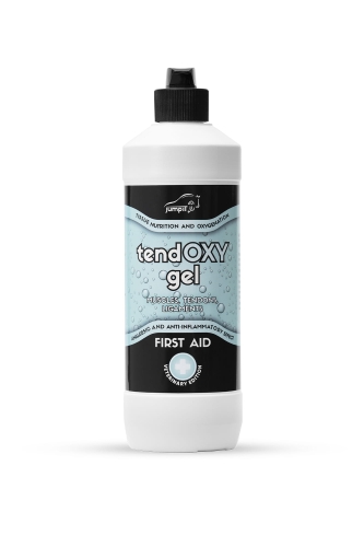 Regenerujący żel JUMP IT "TendOXY Gel" 500 ml