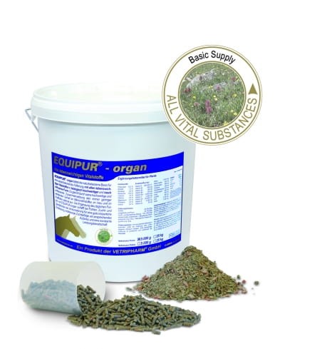 ORGAN - witaminy i minerały