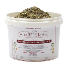 Top Vitamines&Performances 1kg – mieszanka witamin, mikropierwiastków i minerałów