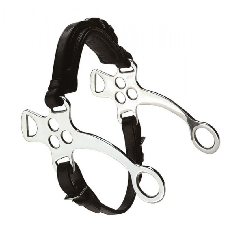 5913da315ce5efc8bab410d150f430ab