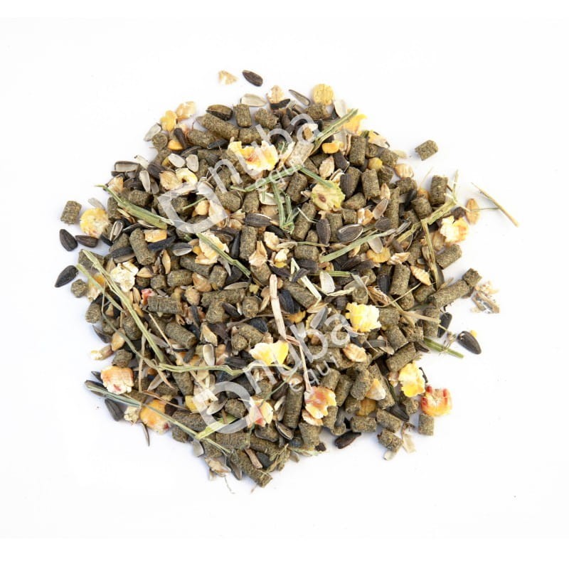 nuba-builder-musli (1).jpg