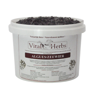 Seaweed 1,5kg – algi morskie