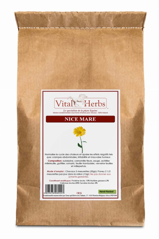 sac-1-kg-nice-mare_imageorigi.jpg