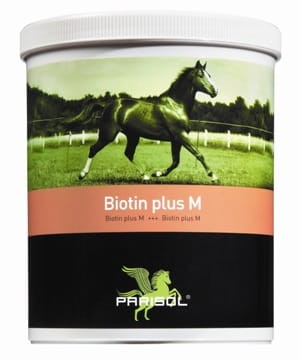 Biotin plus M 1kg - biotyna, metionina i cynk