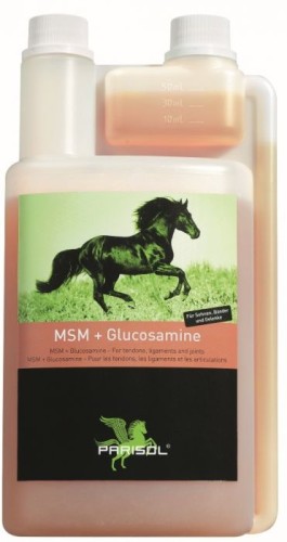 Suplement glukozamina + MSM Parisol