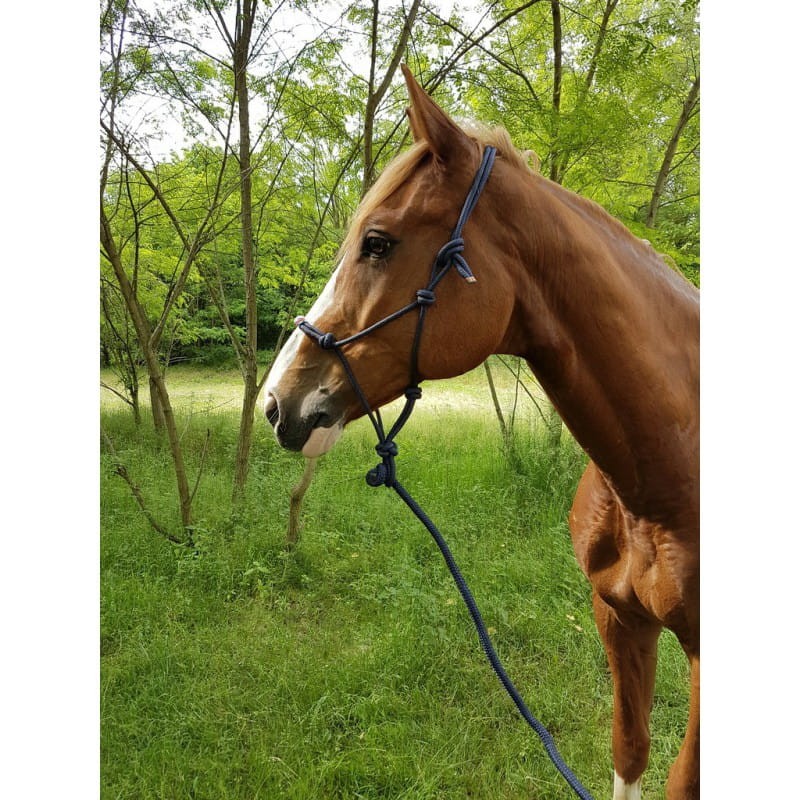 a4785ceb9d98a7fb77ae6d30b878706b