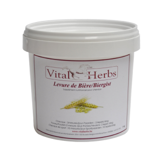 a7397c254735b3f0b0be21dcac6e2331