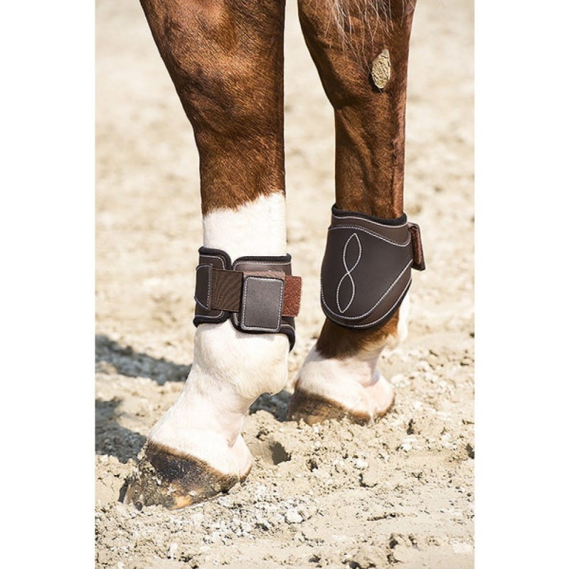 b635db626dfe6008ec5399b98ddb91bd