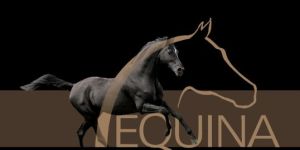Equina